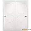 Sliding Closet Bypass Door with Decorative Panels | Wood Solid Bedroom Wardrobe Doors | Buy Doors Online