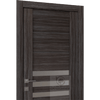 Dome Vetro Series | Modern Interior Door | Buy Doors Online