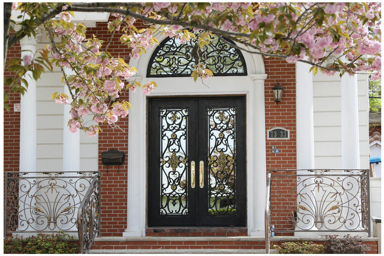 Nova Royal Series Wrought Iron Custom Exterior Door Style 003
