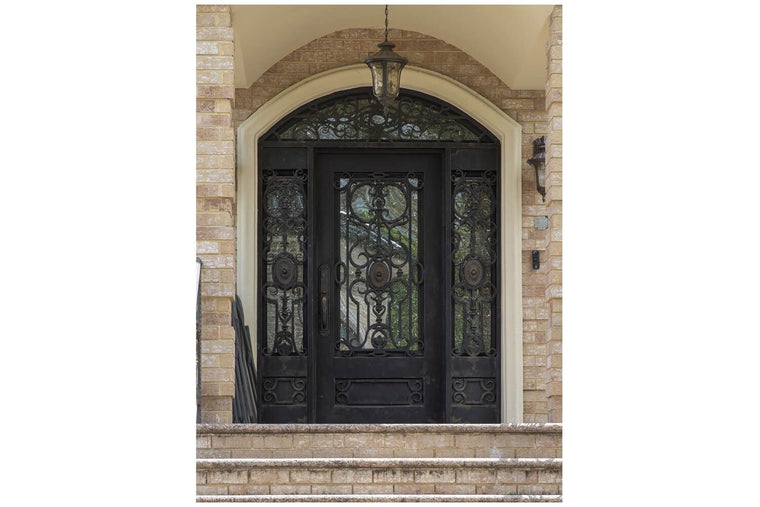 Nova Royal Series Wrought Iron Custom Exterior Door Style 040