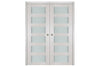 Nova 6 Lite White Wenge Wood Laminated Modern Interior Door | Buy Door Online