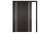 Nova Italia Flush 04 Premium Wenge Laminate Interior Door | ByPass Door | Buy Doors Online