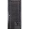 Avanti 2U | Modern Interior Door | Black Apricot | Buy Doors Online