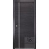 Avanti 2V | Modern Interior Door | Black Apricot | Buy Doors Online