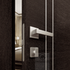 Avanti 2V | Modern Interior Door | Black Apricot | Buy Doors Online