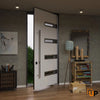 Single pivot metal-aluminum modern exterior door with tinted clear-mirrored glass | Axis 1131