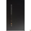 Single pivot metal-aluminum| Modern exterior door with tinted clear-mirrored glass | Axis 1133