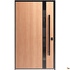 Single pivot metal-aluminum| Modern exterior door with tinted clear-mirrored glass | Axis 1133
