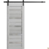 Sturdy Barn Door with Frosted Glass | Solid Panel Interior Doors | Quadro 4445