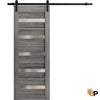 Sturdy Barn Door with Frosted Glass | Solid Panel Interior Doors | Quadro 4445
