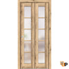 Sliding Closet Bi-Fold Doors with Frosted Opaque Glass | Solid Panel Interior Doors | Quadro 4002