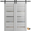 Sturdy Barn Door with Frosted Glass | Solid Panel Interior Doors | Quadro 4445