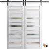 Sturdy Barn Door with Frosted Glass | Solid Panel Interior Doors | Quadro 4445
