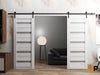 Sturdy Barn Door with Frosted Glass | Solid Panel Interior Doors | Quadro 4445