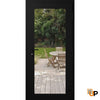 Modern upvc exterior metal-plastic door with clear glass | Manux 8666