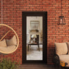 Modern upvc exterior metal-plastic door with clear glass | Manux 8666