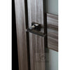 Mirella Vetro | Modern Interior Door | Buy Doors Online