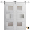 Modern Barn Door with Opaque Glass | Solid Panel Interior Doors | Buy Doors Online