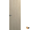 Invisible Solid Hidden Door with Handle | Modern Frameless Doors  | Buy Doors Online