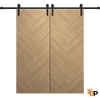 Modern Barn Door | Solid Panel Interior Doors | Ego 5005