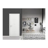 Nova Braga Bianco Matrix Laminated Modern Interior Door | Buy Doors Online