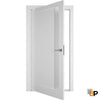 Single solid core pivot interior pivot doors with Frosted Glass | Planum 0660