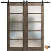 Sturdy Barn Door with Frosted Opaque Glass | Solid Panel Interior Doors | Quadro 4002