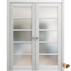 Swing Door with Frosted Opaque Glass | Solid Panel Interior Doors | Quadro 4002