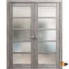 Swing Door with Frosted Opaque Glass | Solid Panel Interior Doors | Quadro 4002