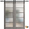 Sturdy Barn Door with Frosted Opaque Glass | Solid Panel Interior Doors | Quadro 4002