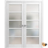 Swing Door with Frosted Opaque Glass | Solid Panel Interior Doors | Quadro 4002