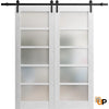 Sturdy Barn Door with Frosted Opaque Glass | Solid Panel Interior Doors | Quadro 4002