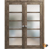 Swing Door with Frosted Opaque Glass | Solid Panel Interior Doors | Quadro 4002