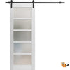 Sturdy Barn Door with Frosted Opaque Glass | Solid Panel Interior Doors | Quadro 4002