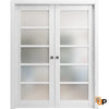 Sliding French Pocket Door with Frosted Opaque Glass | Solid Panel Interior Doors | Quadro 4002