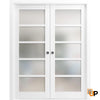 Sliding French Pocket Door with Frosted Opaque Glass | Solid Panel Interior Doors | Quadro 4002