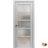 Swing Door with Frosted Opaque Glass | Solid Panel Interior Doors | Quadro 4002