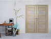 Romi Vetro Series | Modern Interior Door | Buy Doors Online