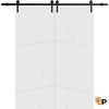 Sliding Barn Door with Hardware | Modern Solid Panel Interior Doors | Buy Doors Online