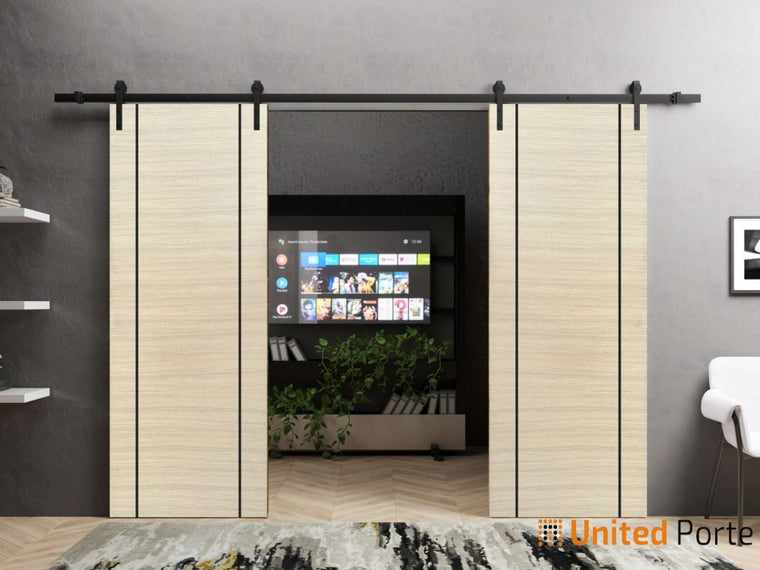 Sliding Barn Door with Stainless Steel Hardware | Modern Solid Panel Interior Doors | Planum 0017