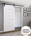 Sliding Barn Door with Hardware | Lite Wooden Solid Panel Interior Doors  | Buy Doors Online