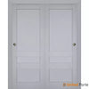 Sliding Closet Bypass Door with Decorative Panels | Wood Solid Bedroom Wardrobe Doors | Buy Doors Online