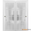 Sliding Closet  Bypass Doors with 12 Lites Frosted Glass | Wood Solid Bedroom Wardrobe Doors | Buy Doors Online