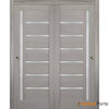 Sliding Closet Bypass Doors with Frosted Glass | Wood Solid Bedroom Wardrobe Doors | Buy Doors Online