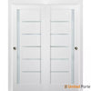 Sliding Closet Bypass Doors with Frosted Glass | Wood Solid Bedroom Wardrobe Doors | Buy Doors Online