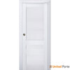 Sliding French Pocket Door with Decorative Panels | Solid Wood Interior Bedroom Sturdy Doors | Buy Doors Online