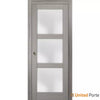 Sliding French Pocket Door with Frosted Glass | Solid Wood Interior Bedroom Sturdy Doors | Buy Doors Online