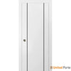 Sliding French Pocket Door | Solid Wood Interior Bedroom Sturdy Doors | Buy Doors Online