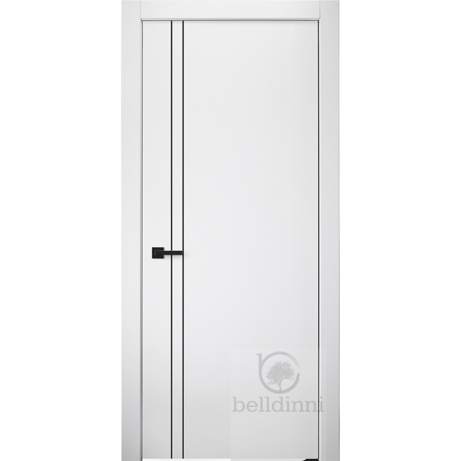 Smart Pro 2V Black | Modern Interior Door | Polar White