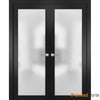 Solid French Doors with Frosted Glass | Closet Bedroom Sturdy Doors | Buy Doors Online